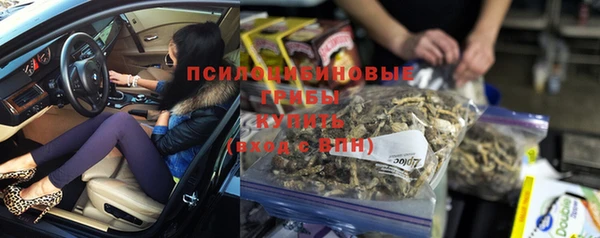 соль курить ск Кукмор